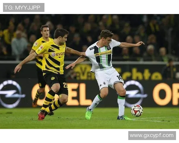 雷根堡与帕德博的精彩对决分析与赛前预测 雷根堡与帕德博的精彩对决分析与赛前预测