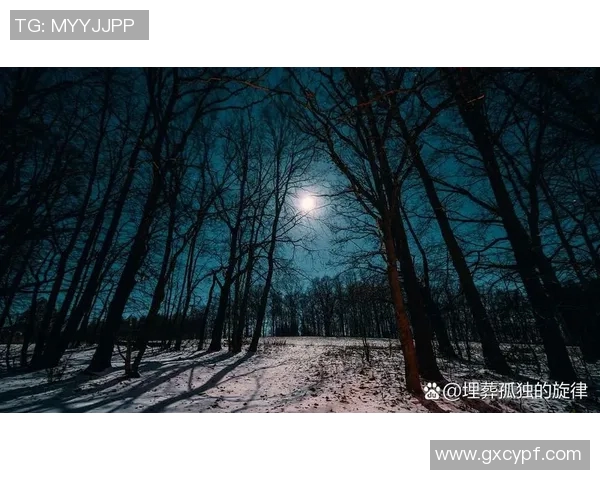 香山夜爬探秘之旅月下漫步感受秋夜的宁静与美丽 香山夜爬探秘之旅月下漫步感受秋夜的宁静与美丽